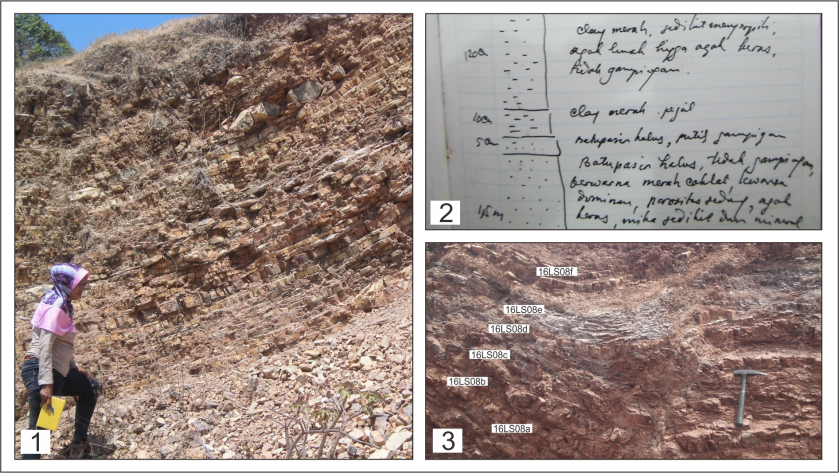 blog berbagi cerita geologi-angga jati widiatama (radiolaria1).png